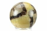 Polished Septarian Sphere - Madagascar #238984-1